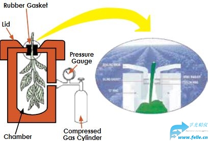 植物水势压力仪ARIMAD3000 植物水势压力仪ARIMAD3000