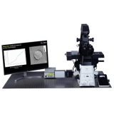 4D无标记定量成像显微镜