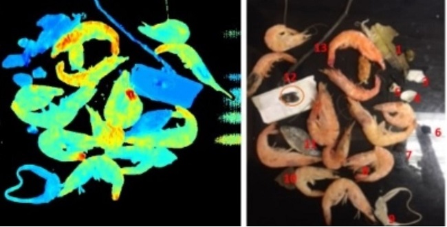 高光谱的异物发现