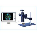 小鼠脑介观成像系统
