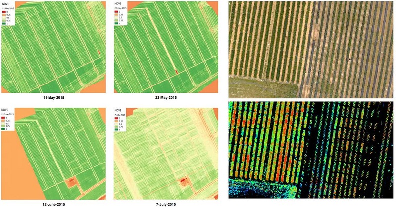 无人机高光谱相机遥感结果