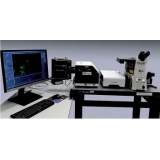 实时超分辨率激光共聚焦显微镜