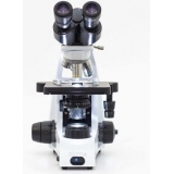 双目显微镜